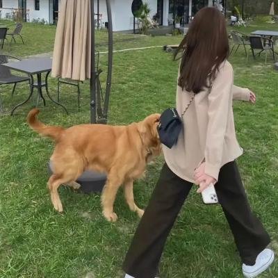 左滩